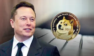 Tiền số trò đùa Dogecoin và mối quan hệ 'tàu lượn' với Elon Musk