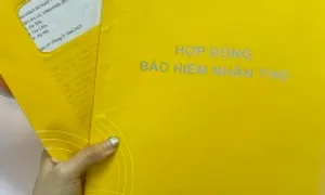 Hai doanh nghiệp vi phạm khi bán chéo bảo hiểm qua ngân hàng