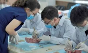 Loạt đại học tuyển ngành Y khoa bằng tổ hợp có Tiếng Anh