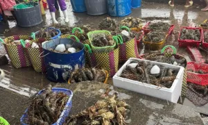 Rau xanh, hải sản từ miền Trung - Tây Nguyên bị gián đoạn vì lũ